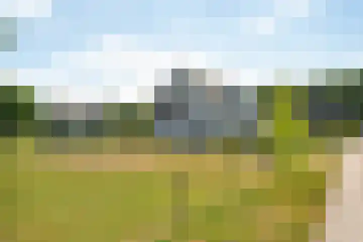Heereweg 66 Castricum thumbnail 54