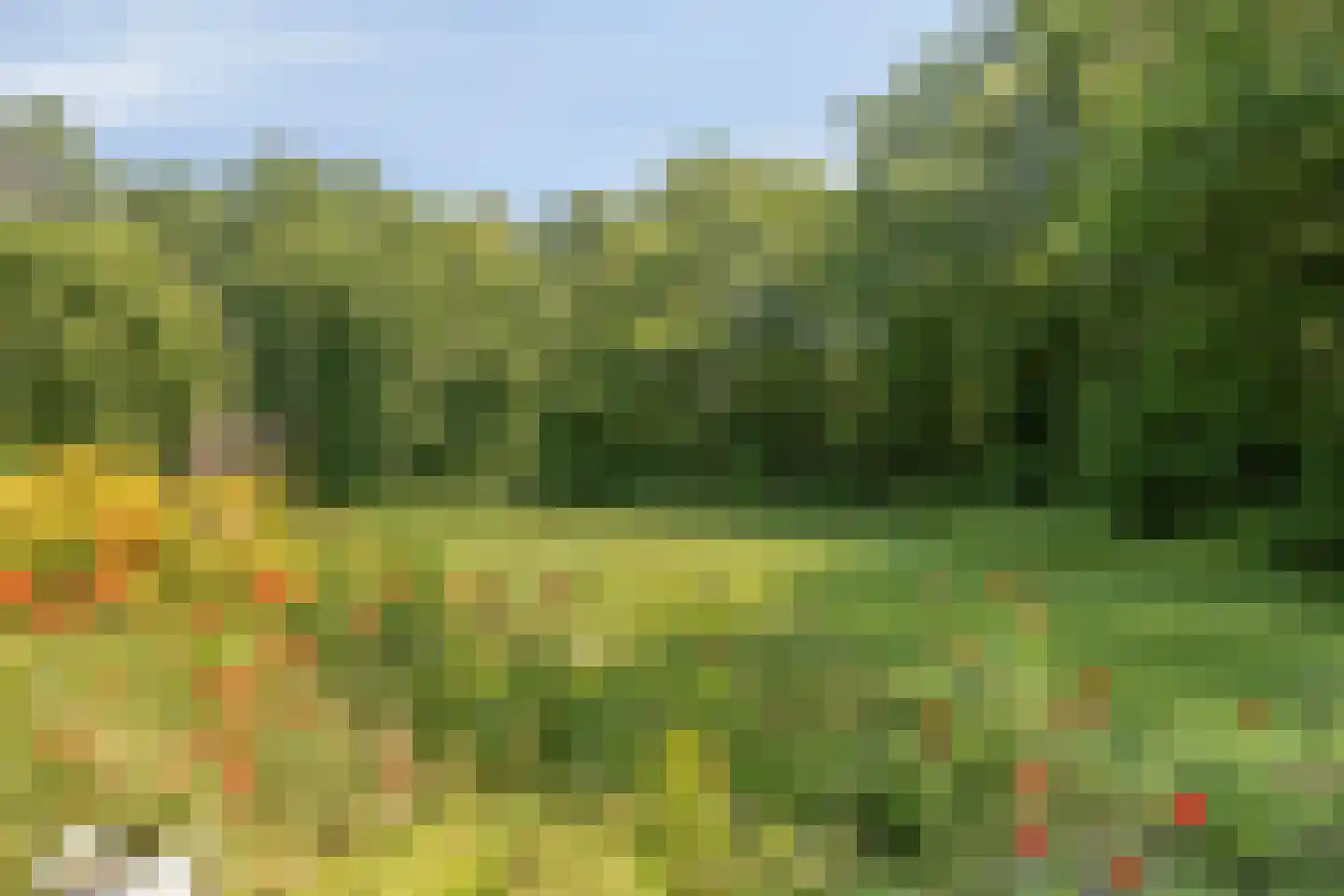 Heereweg 71 Castricum thumbnail 33