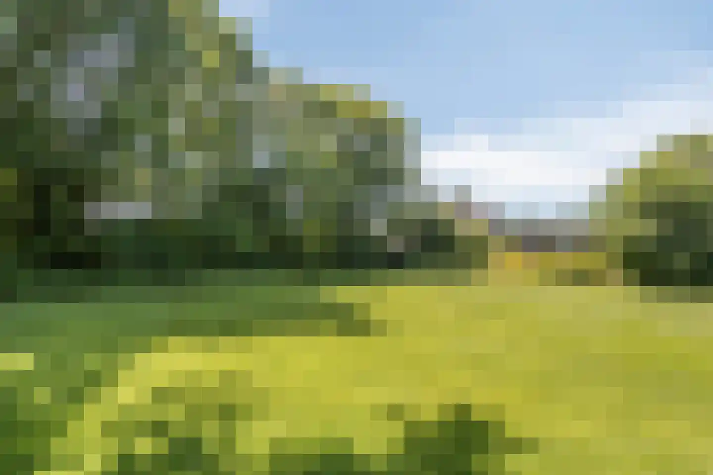 Heereweg 71 Castricum thumbnail 35