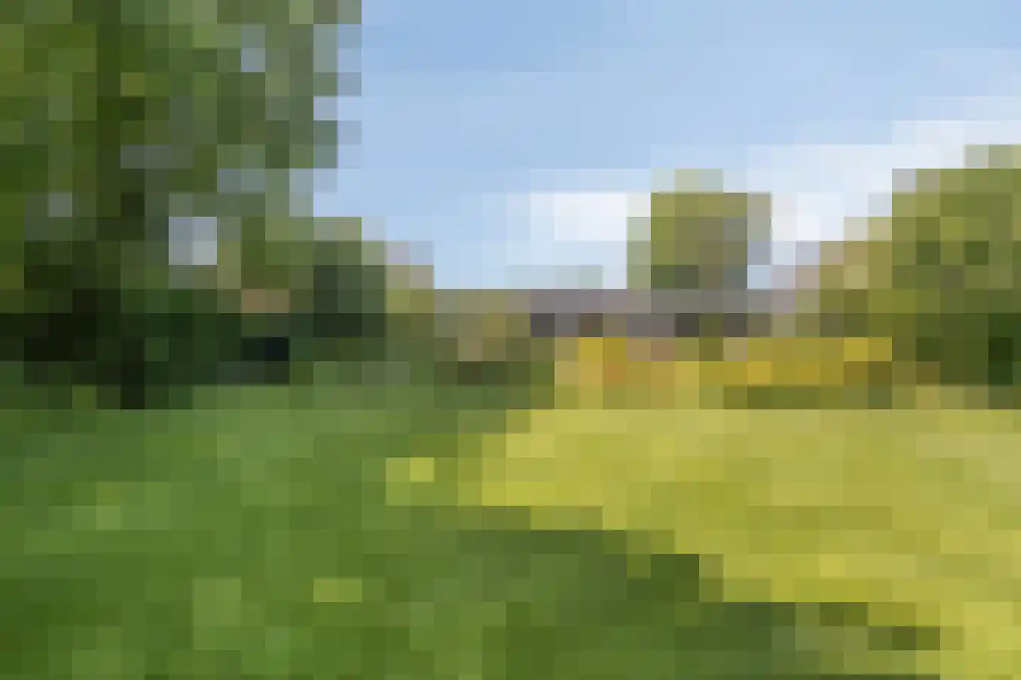 Heereweg 71 Castricum thumbnail 36