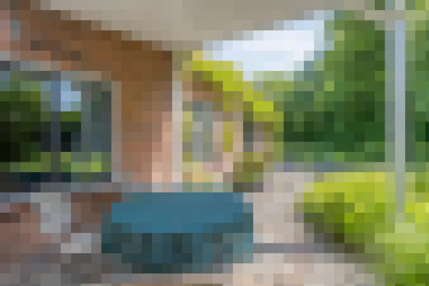 Heereweg 71 Castricum thumbnail 41