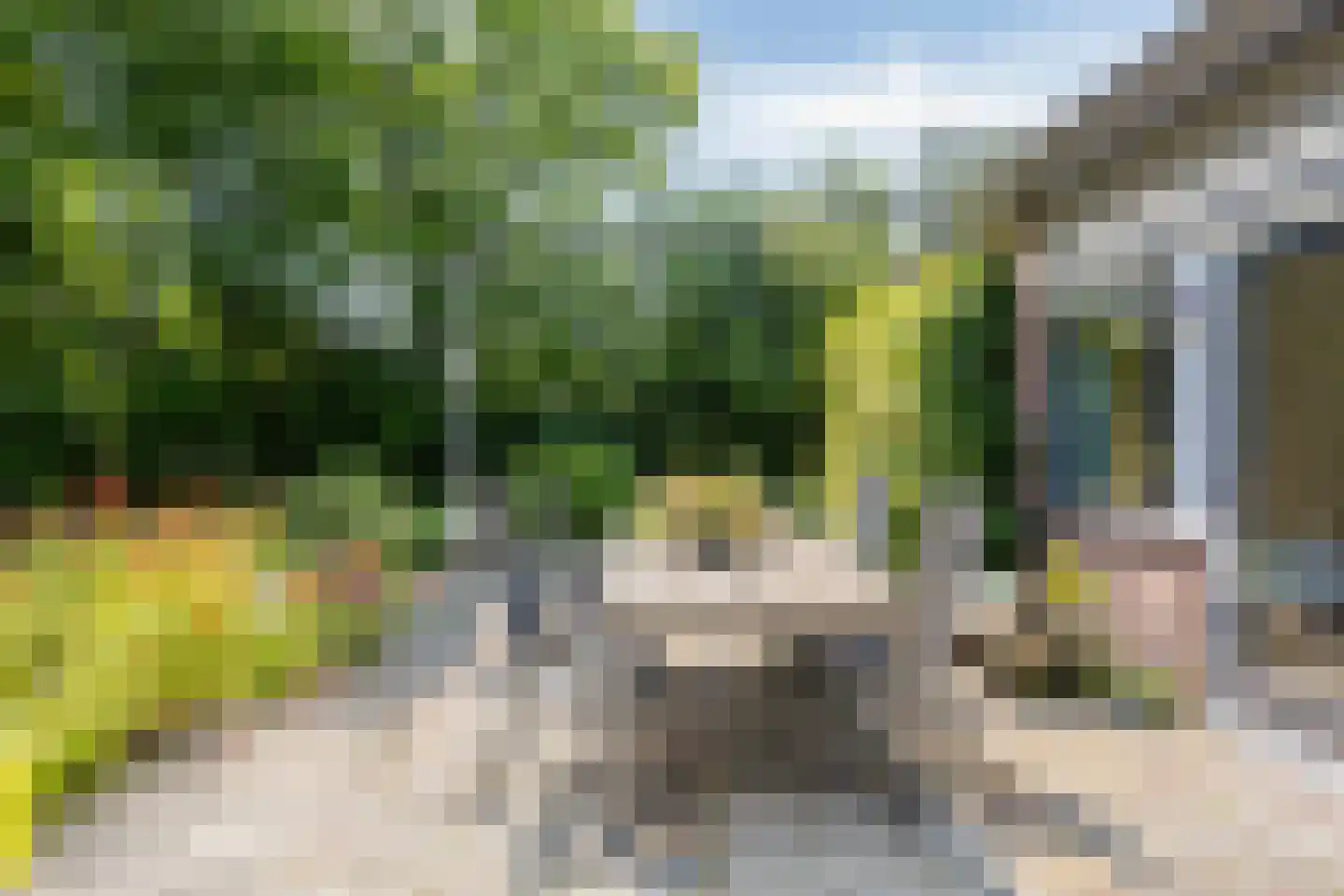 Heereweg 71 Castricum thumbnail 42