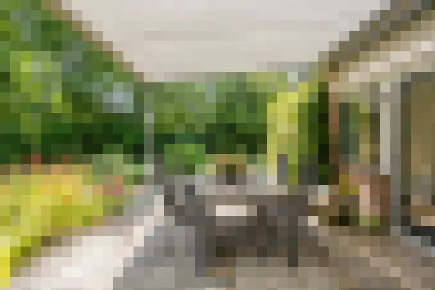 Heereweg 71 Castricum thumbnail 43