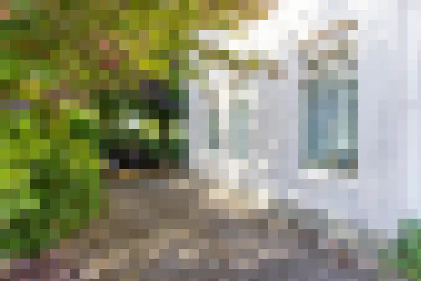 Heereweg 72 Castricum thumbnail 30