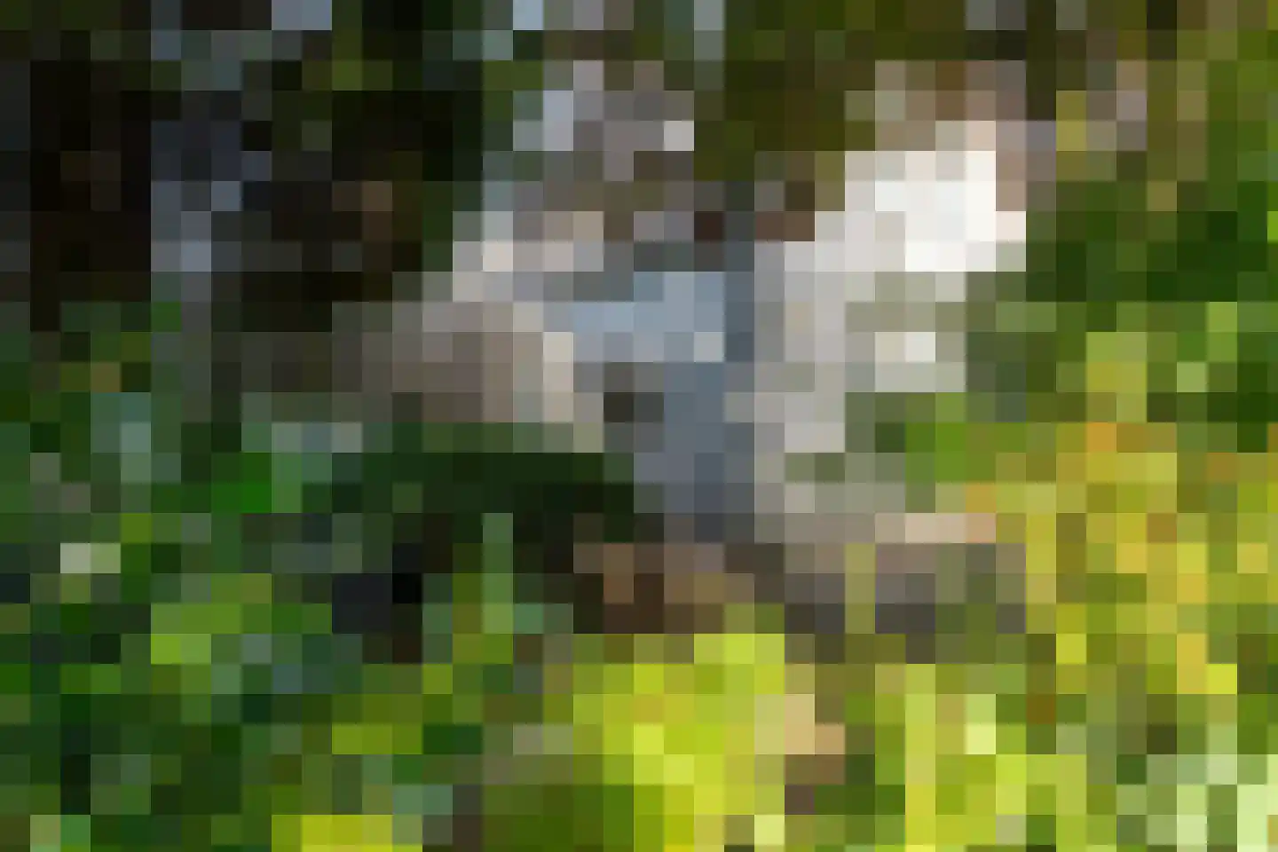 Heereweg 72 Castricum thumbnail 31