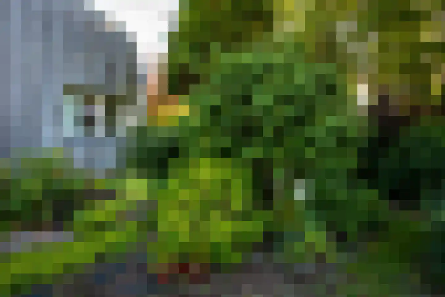 Heereweg 72 Castricum thumbnail 37