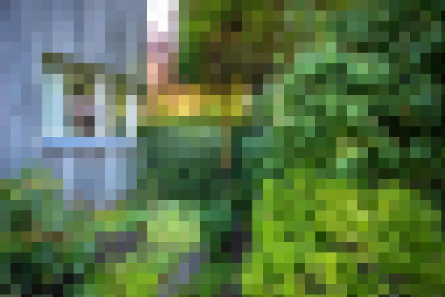 Heereweg 72 Castricum thumbnail 40