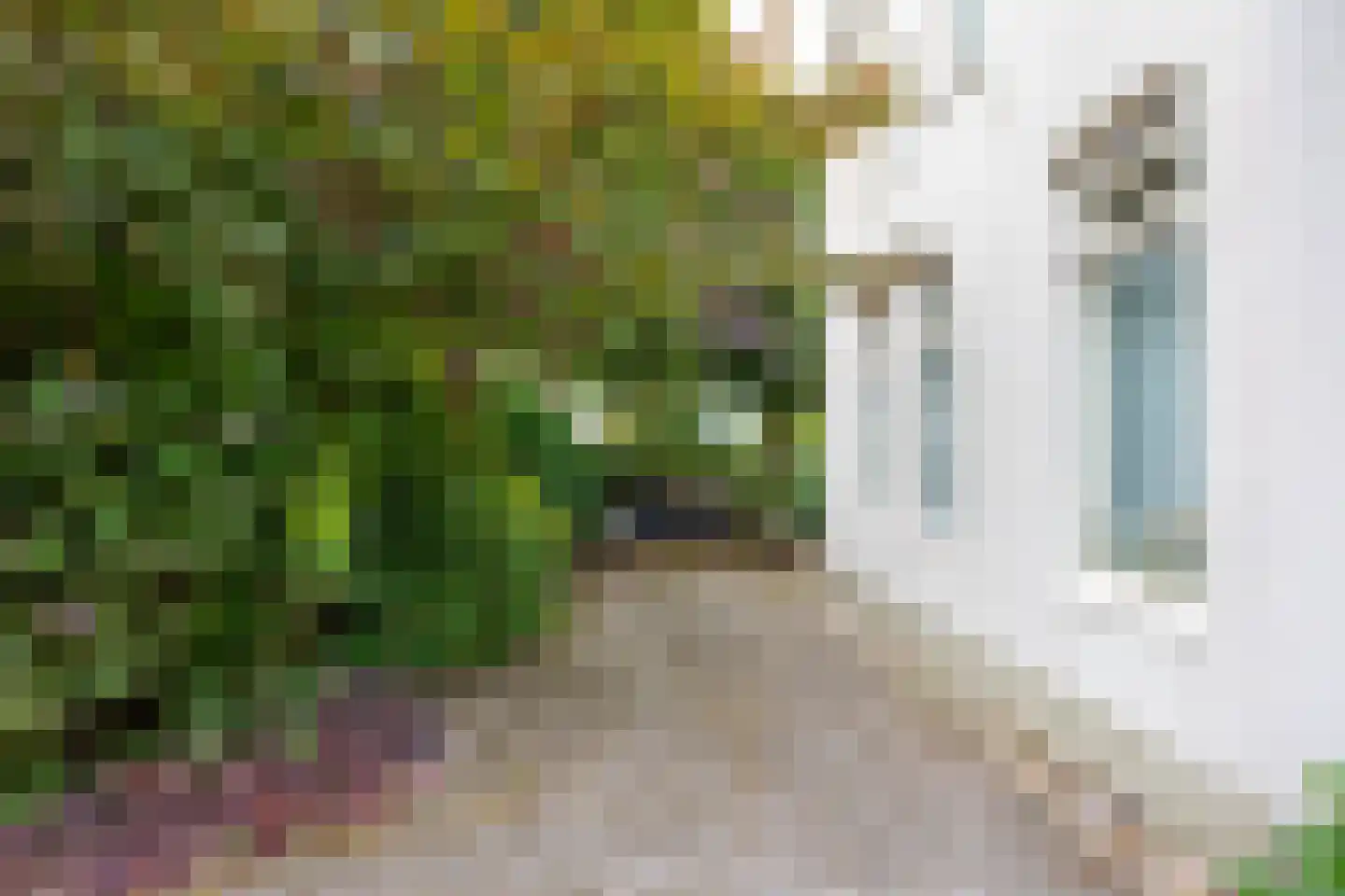 Heereweg 72 Castricum thumbnail 43