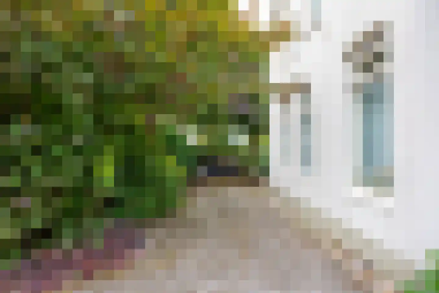 Heereweg 72 Castricum thumbnail 44