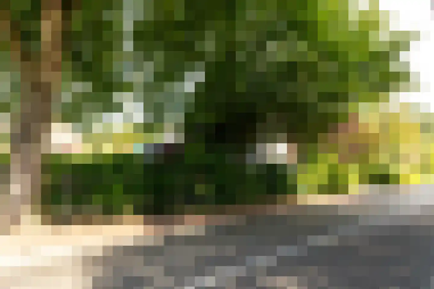 Heereweg 72 Castricum thumbnail 45