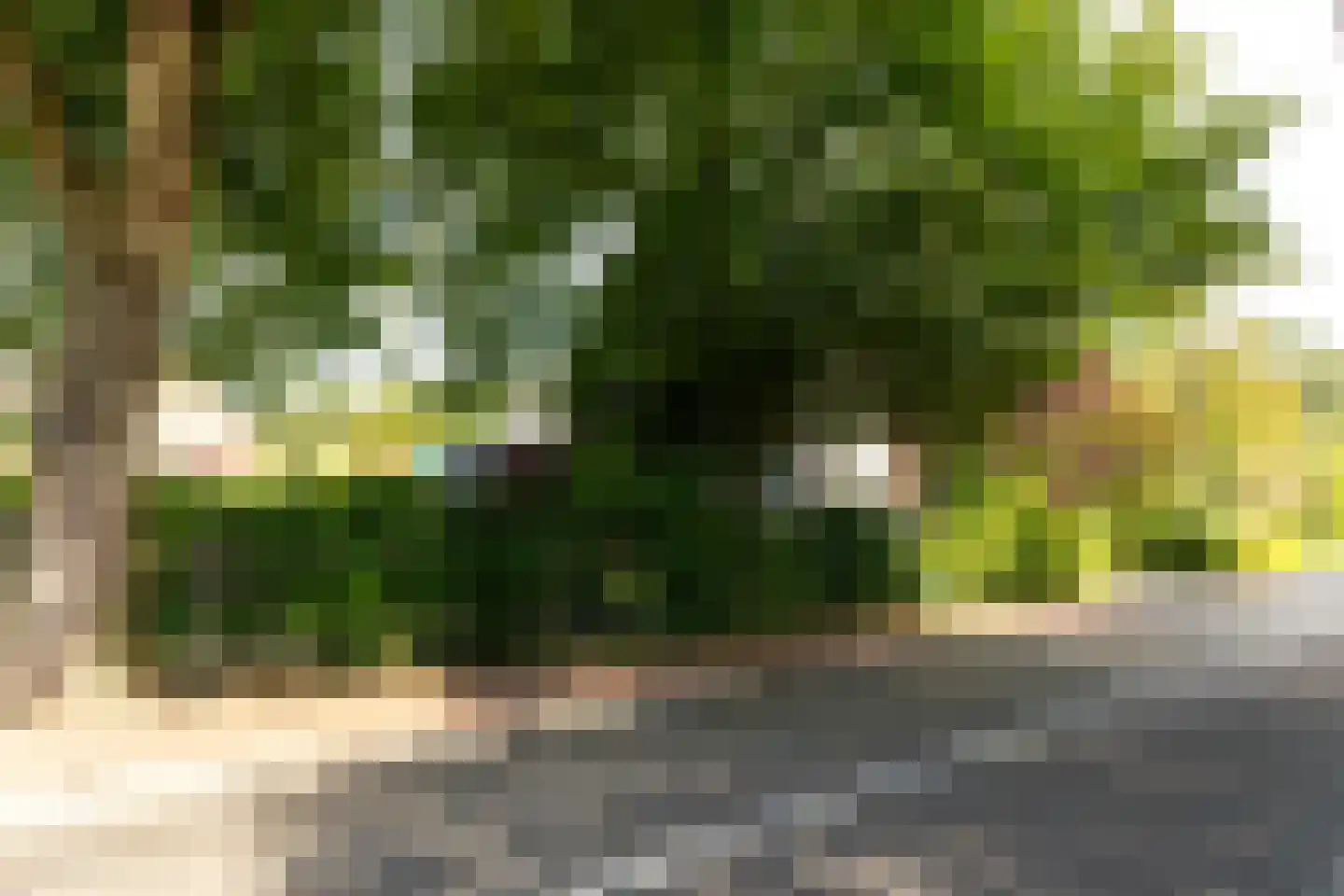Heereweg 72 Castricum thumbnail 46