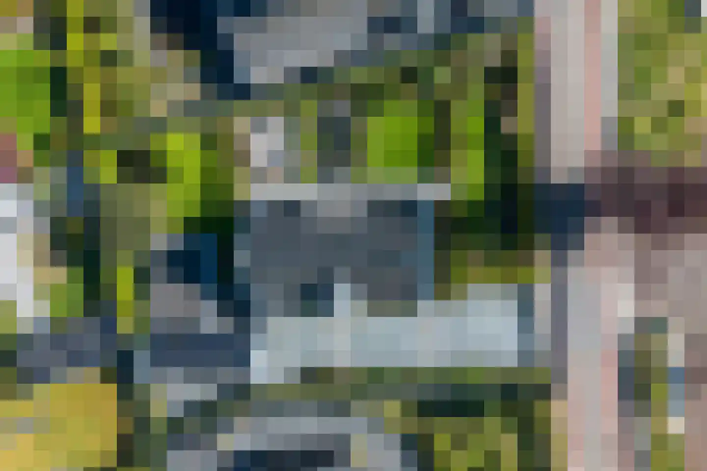 Heereweg 86 Schoorl thumbnail 10