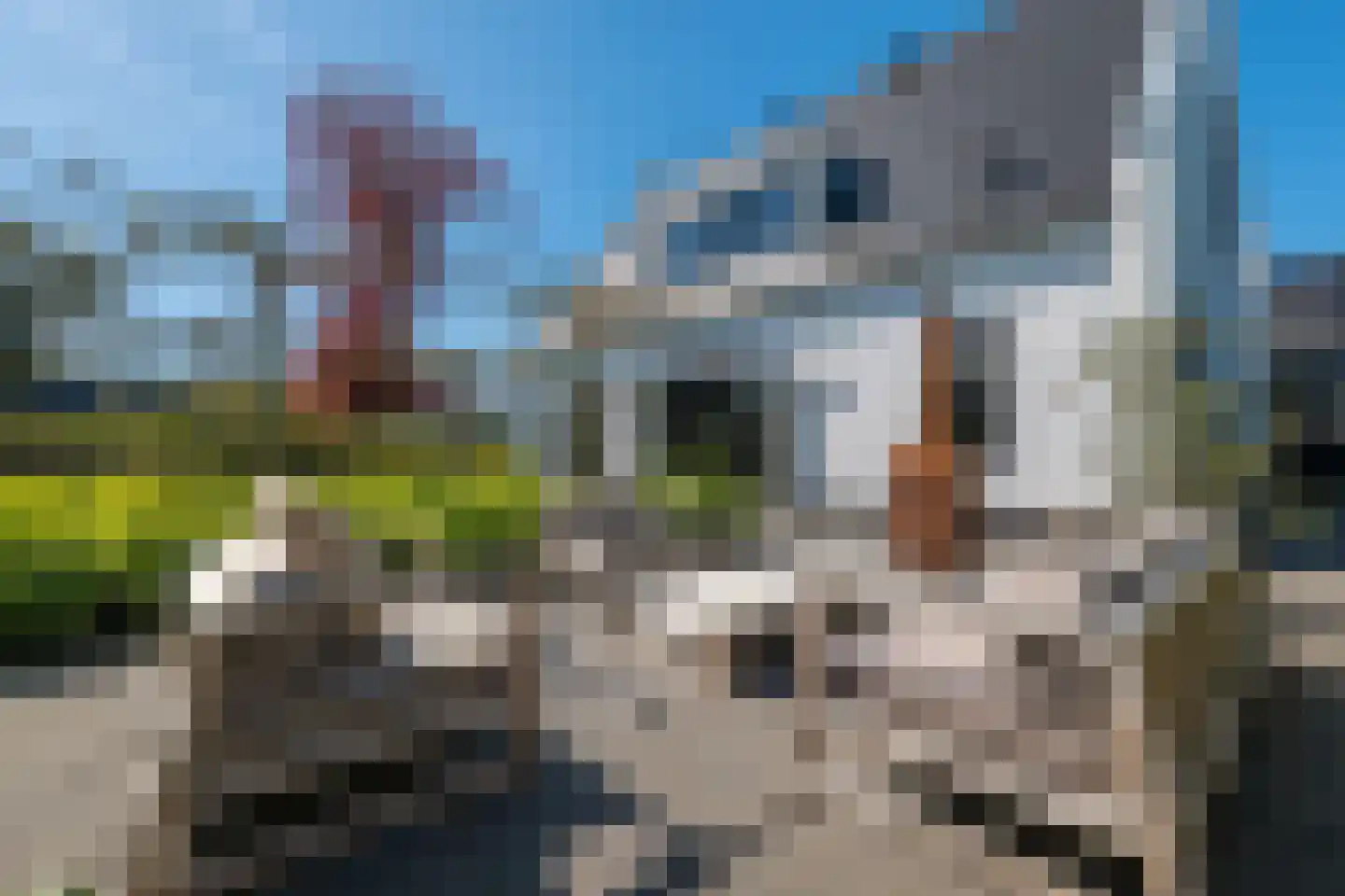 Heereweg 86 Schoorl thumbnail 6