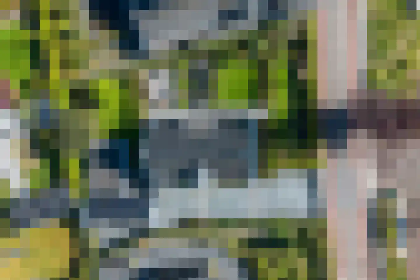Heereweg 86 Schoorl thumbnail 63
