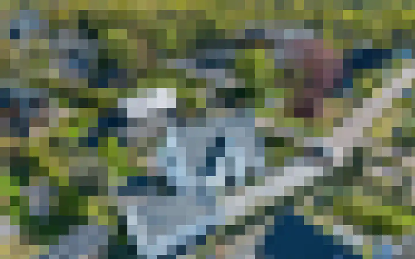 Heereweg 86 Schoorl thumbnail 87