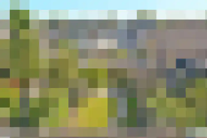 Heerhugowaardstraat 9 Hoofddorp thumbnail 29