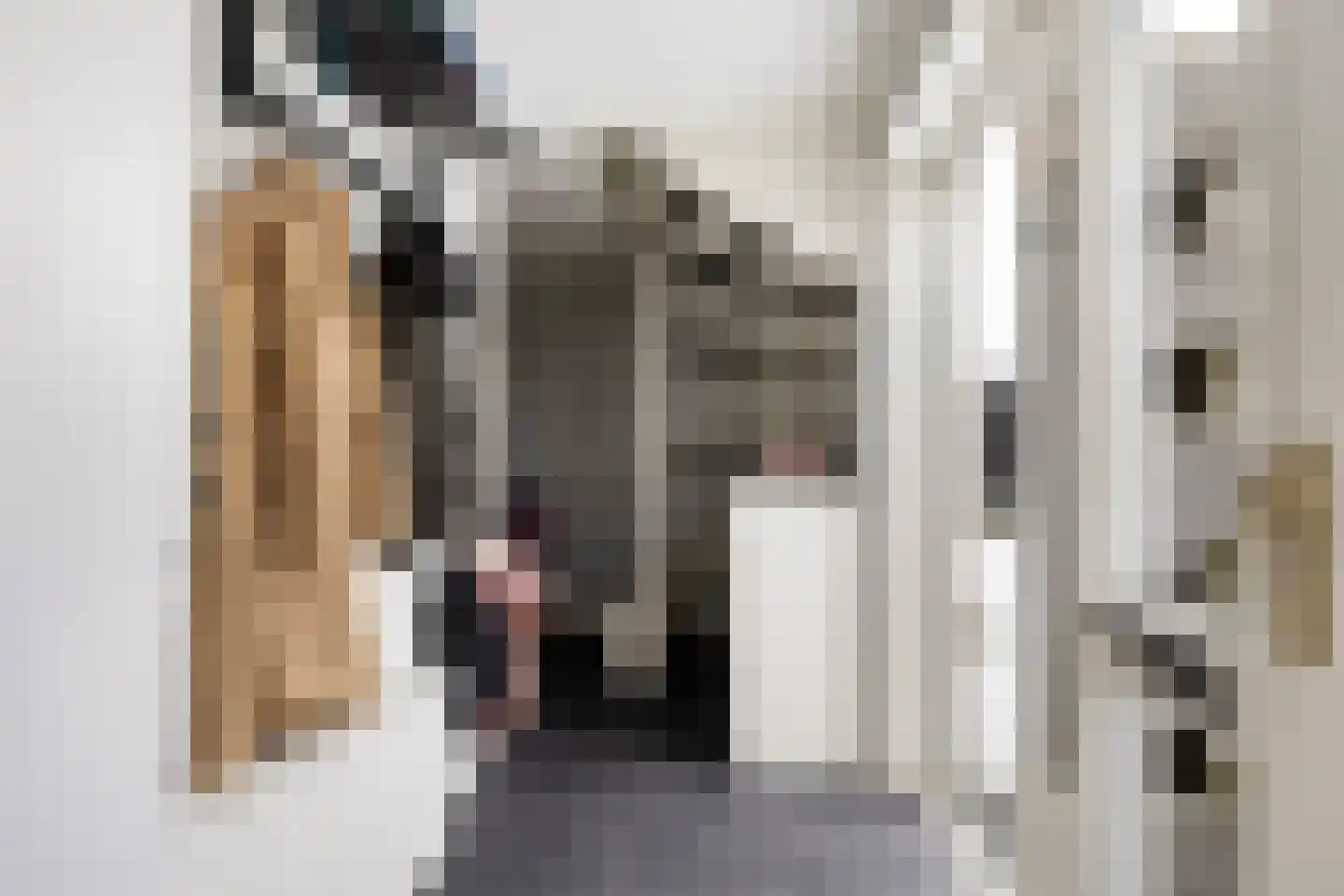 Heerke Ateswei 23 Damwâld thumbnail 15