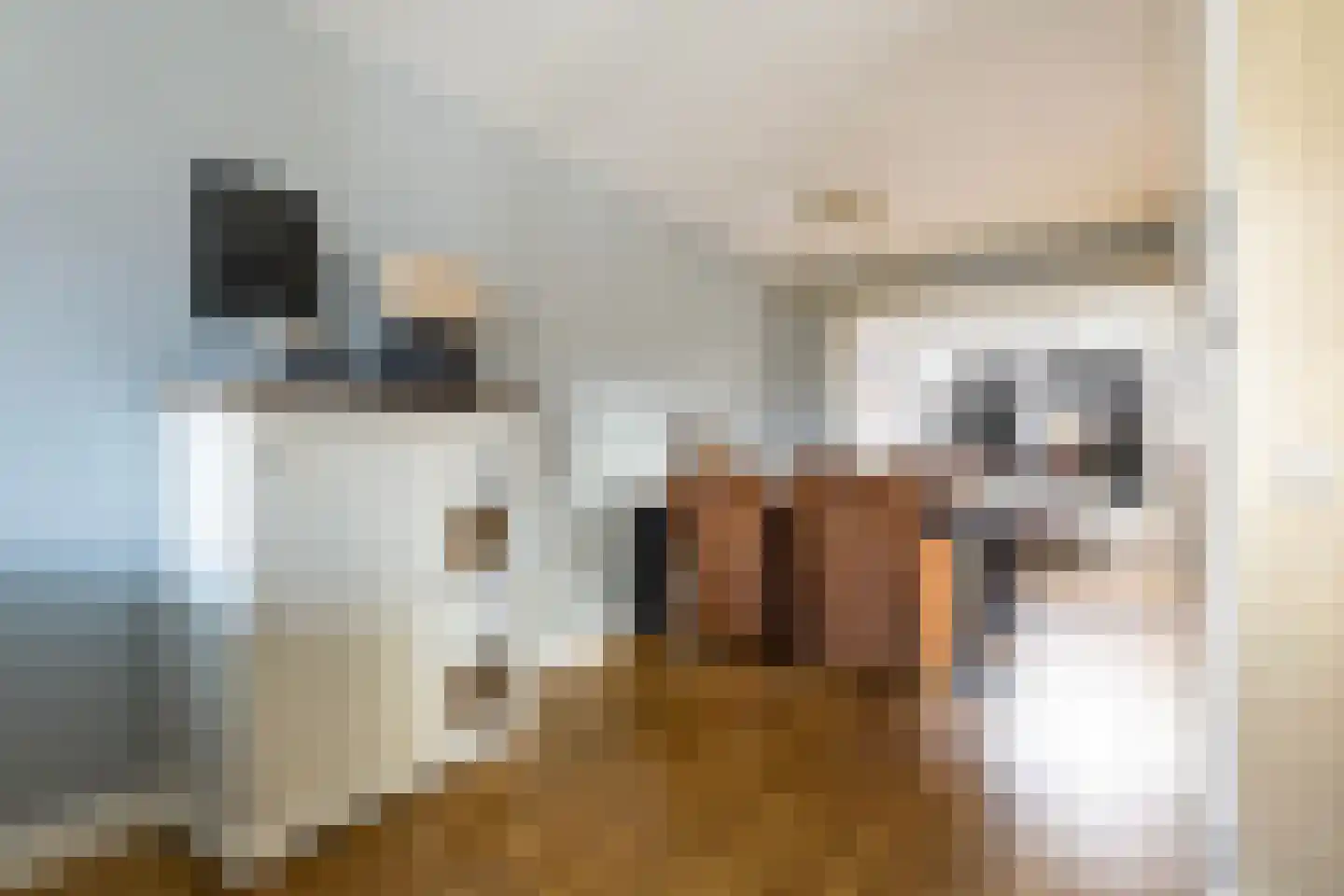 Heerke Ateswei 23 Damwâld thumbnail 23