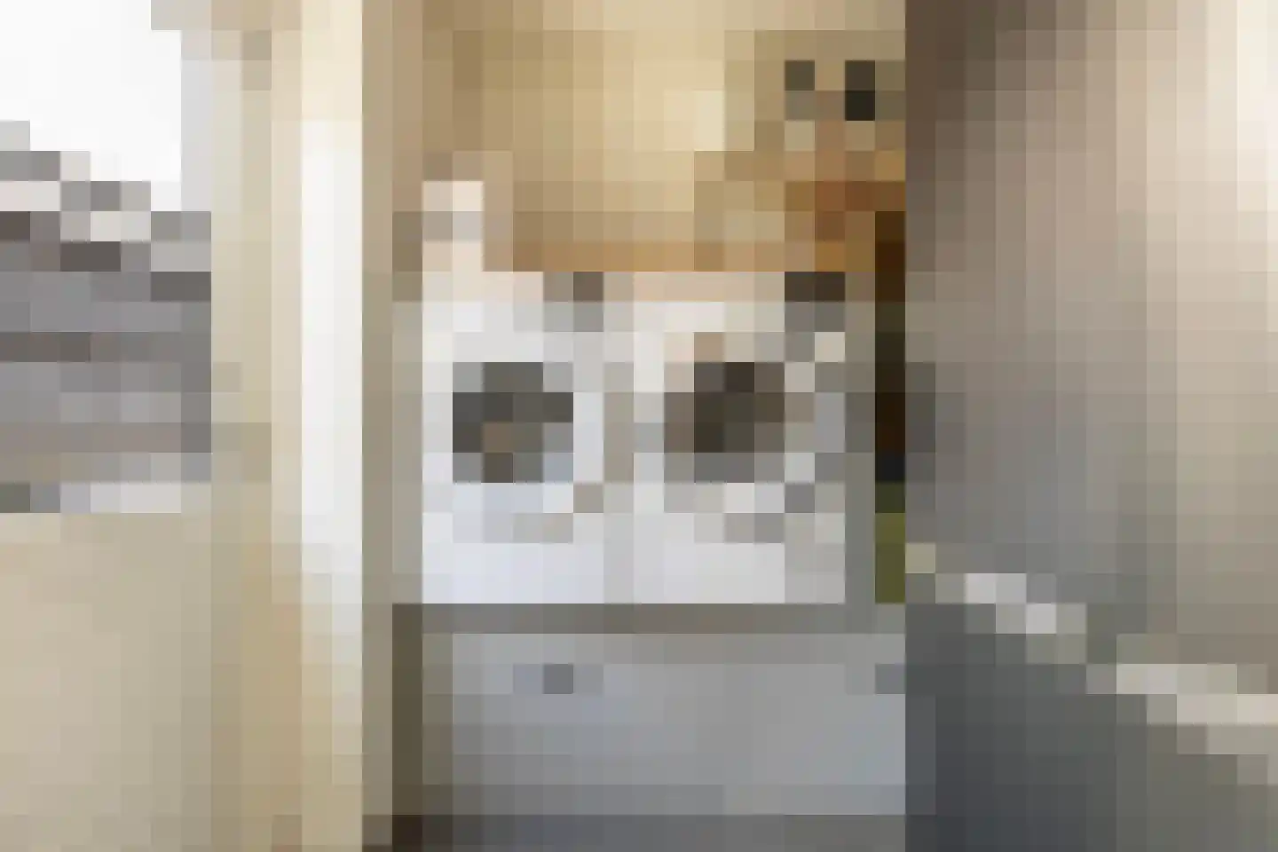 Heerke Ateswei 23 Damwâld thumbnail 27