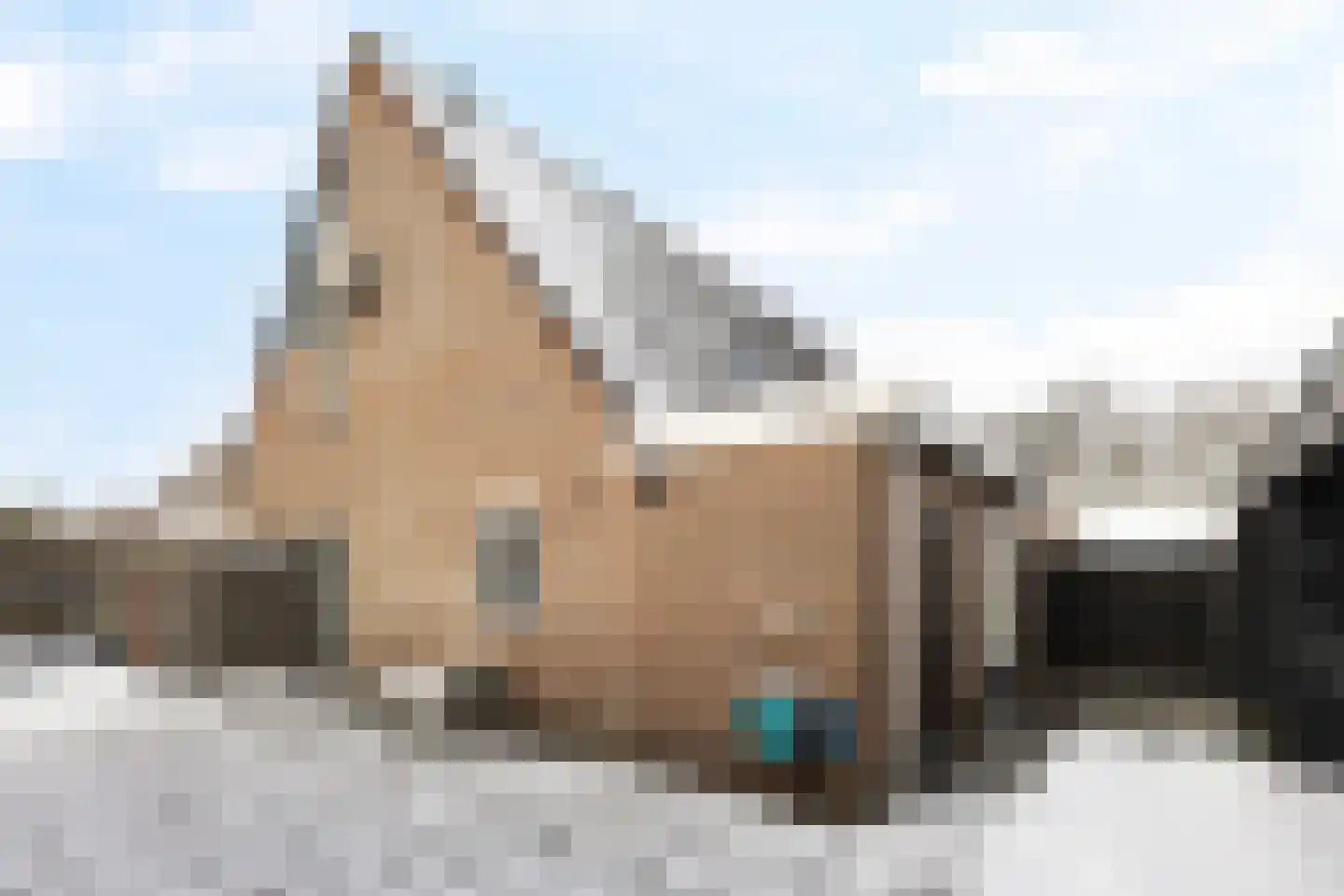 Heerke Ateswei 23 Damwâld thumbnail 29