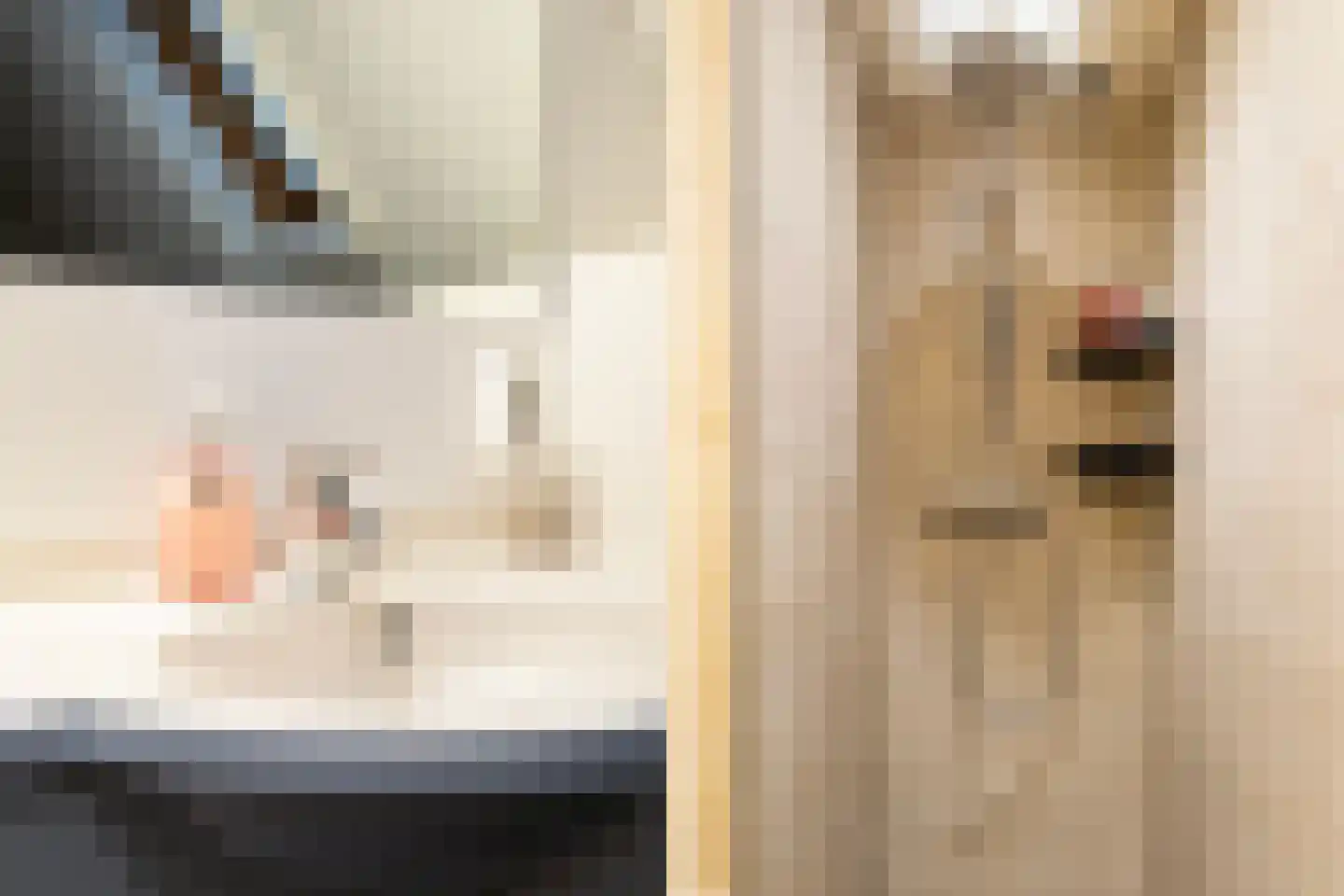 Heerke Ateswei 23 Damwâld thumbnail 4