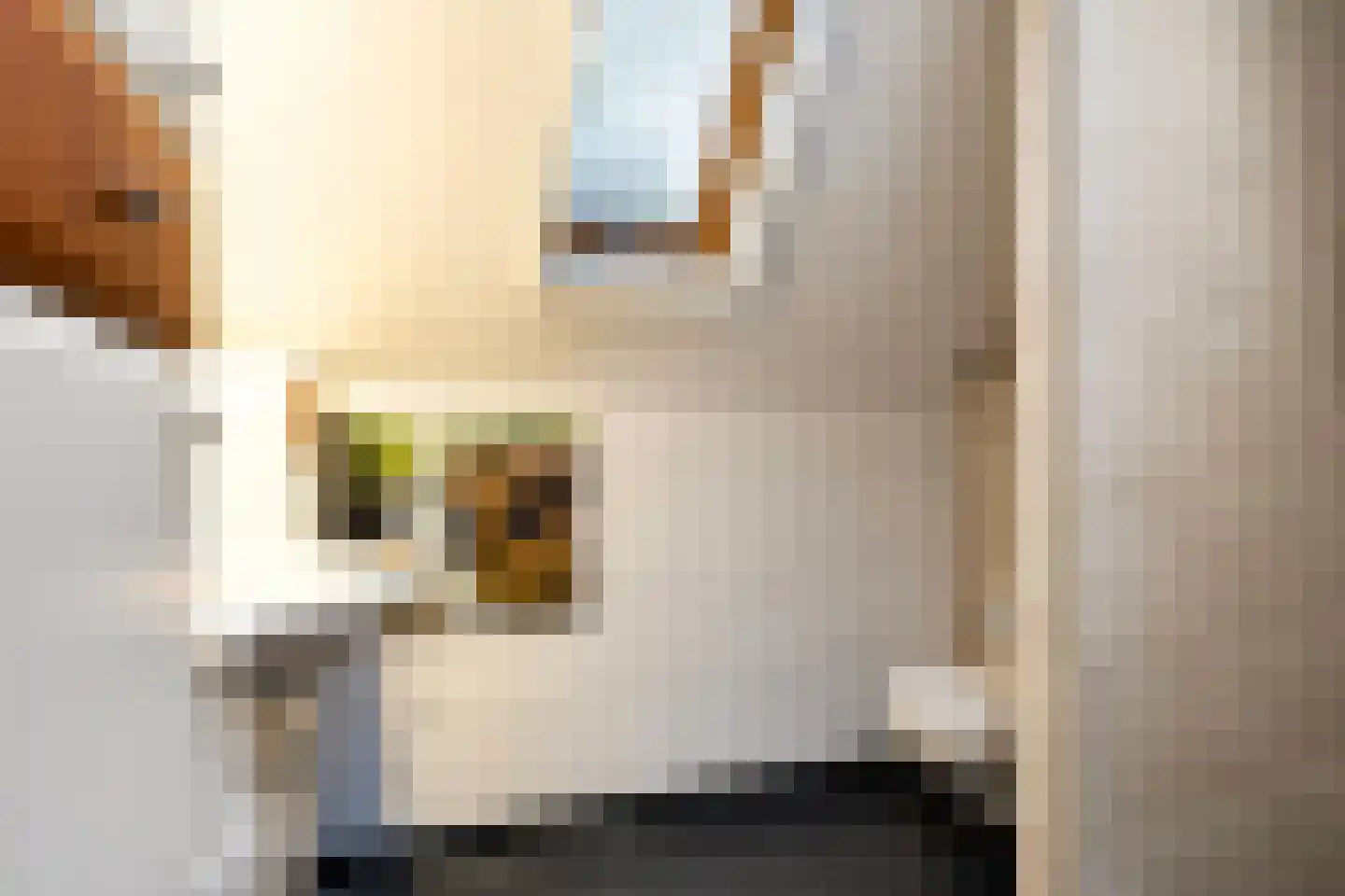 Heerke Ateswei 23 Damwâld thumbnail 43