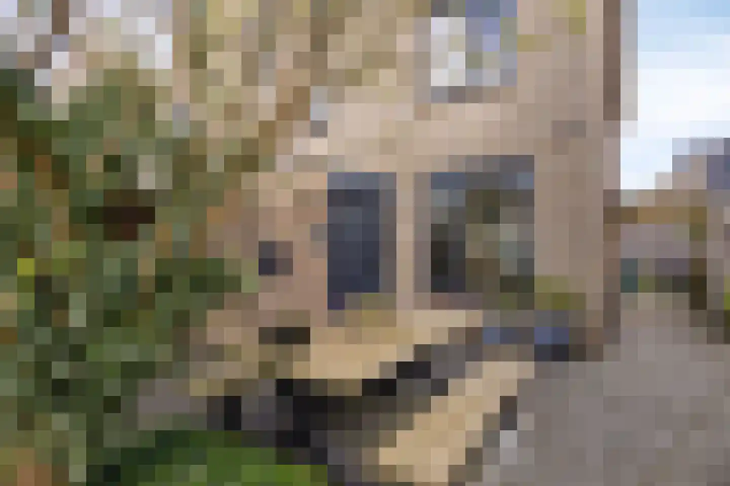 Heerkensmarke 16 Zwolle thumbnail 33