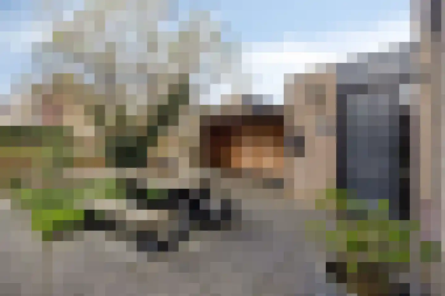 Heerkensmarke 16 Zwolle thumbnail 34