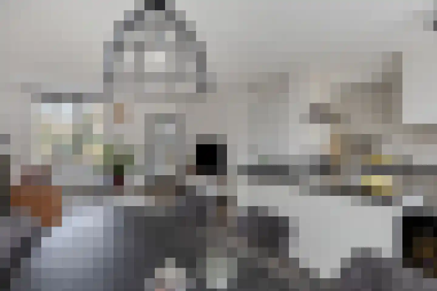 Heerkensmarke 16 Zwolle thumbnail 6