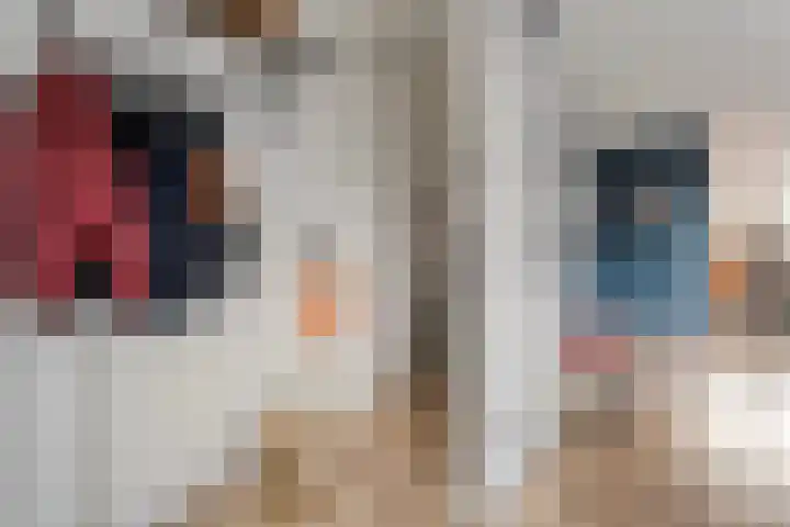 Heerkensmarke 20 Zwolle thumbnail 10