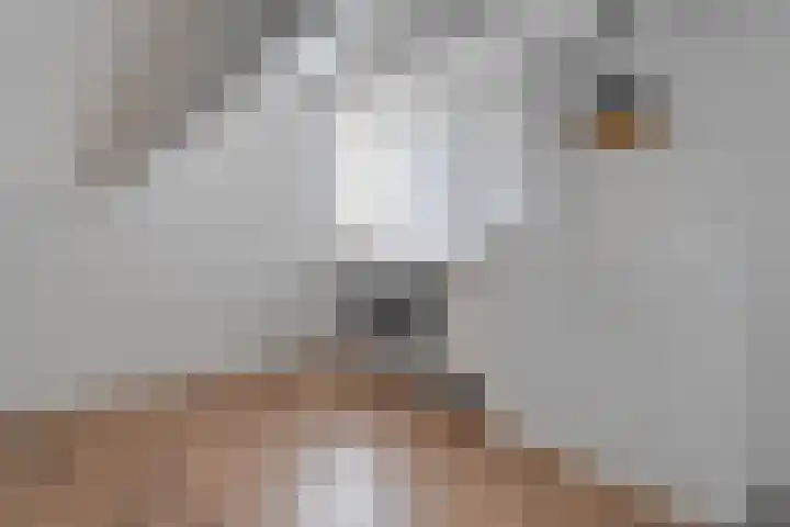 Heerkensmarke 20 Zwolle thumbnail 26