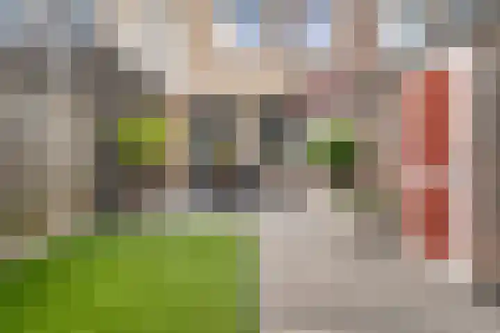 Heerkensmarke 20 Zwolle thumbnail 27