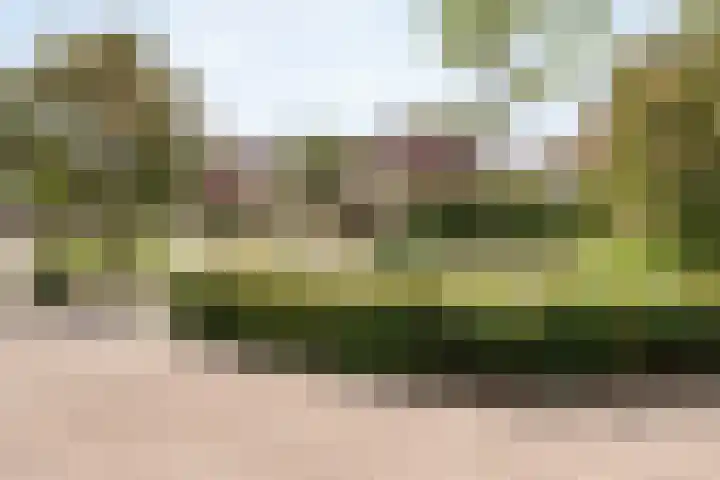 Heerkensmarke 20 Zwolle thumbnail 33
