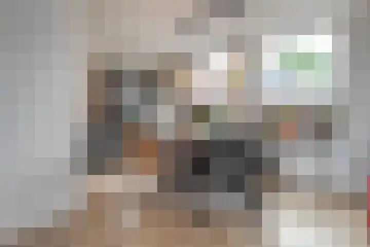 Heerkensmarke 20 Zwolle thumbnail 5