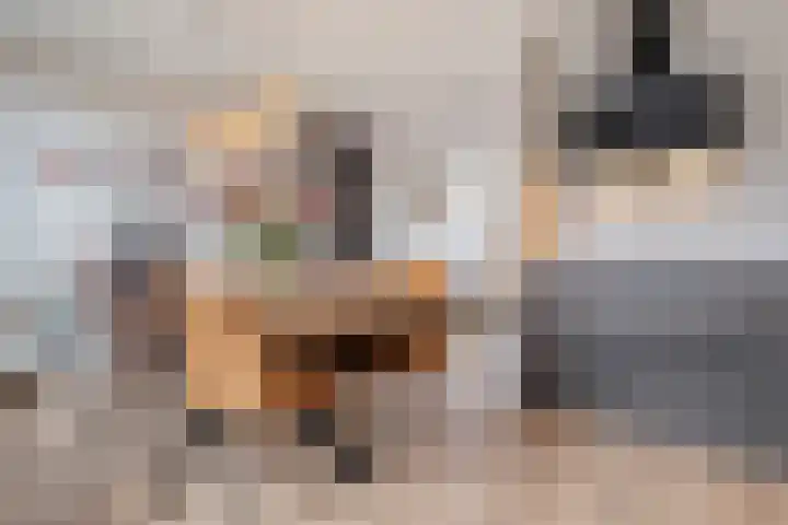 Heerkensmarke 20 Zwolle thumbnail 6