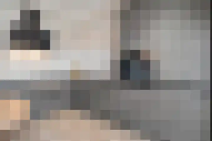 Heerkensmarke 20 Zwolle thumbnail 9