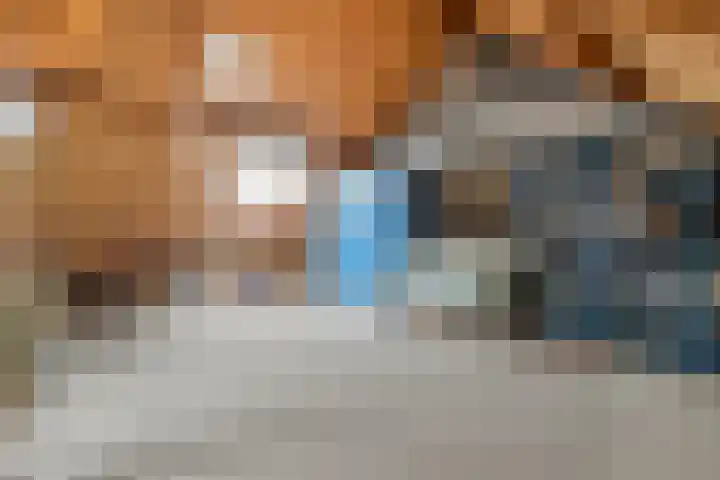 Heerkensmarke 57 Zwolle thumbnail 21
