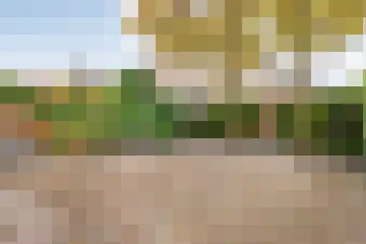 Heerkensmarke 57 Zwolle thumbnail 23