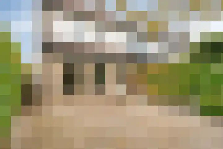 Heerkensmarke 57 Zwolle thumbnail 24