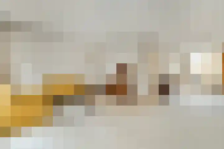 Heerkensmarke 57 Zwolle thumbnail 8