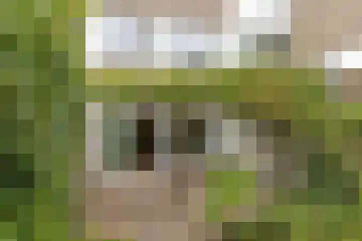 Heerkensveld 8 Eindhoven thumbnail 25