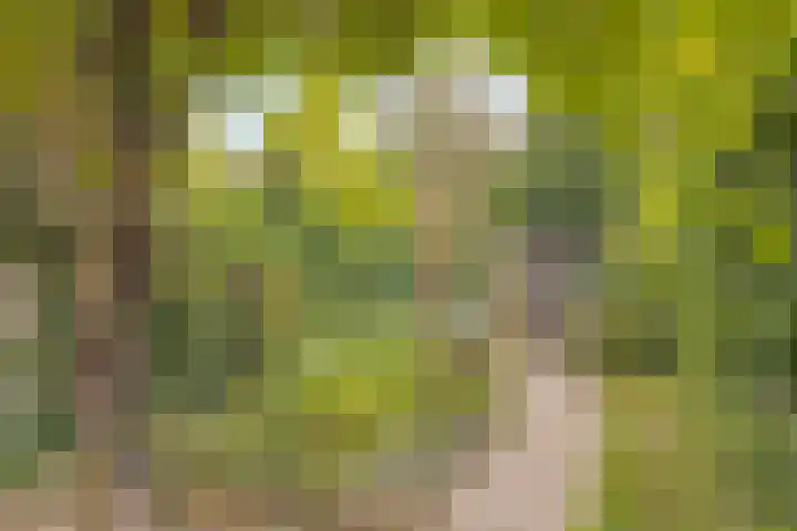Heerkensveld 8 Eindhoven thumbnail 26