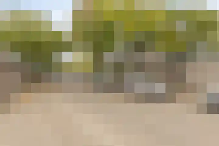Heerkensveld 8 Eindhoven thumbnail 27