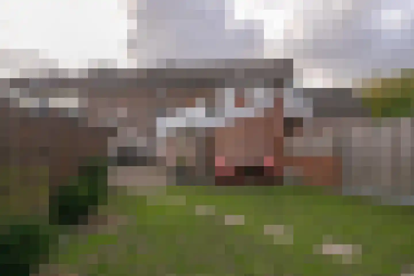 Heerlenersteenweg 32 Kerkrade thumbnail 4