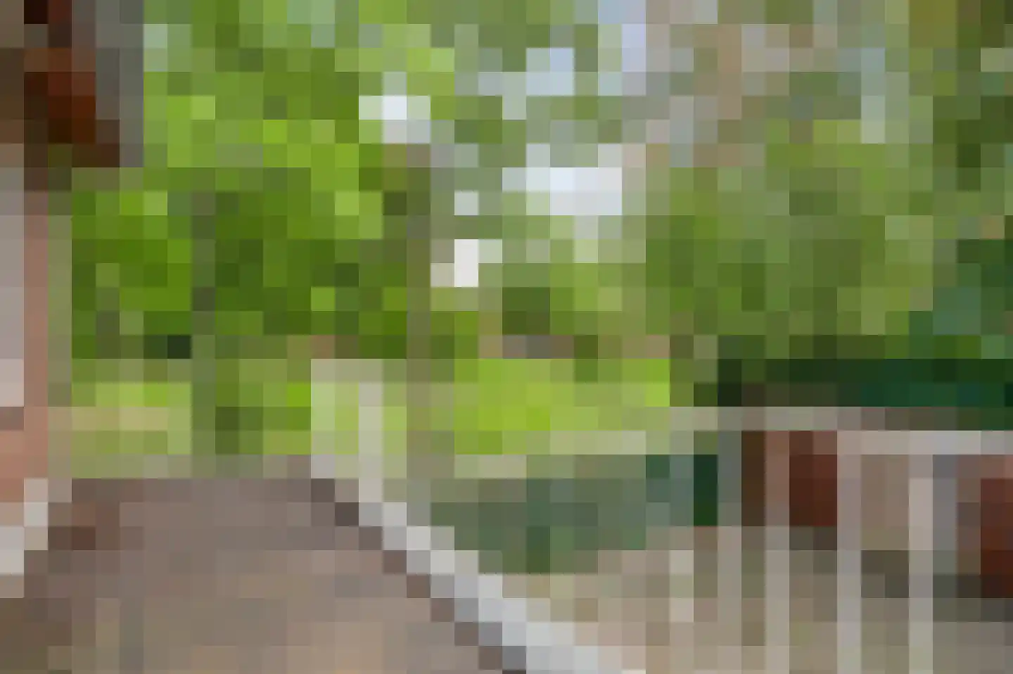 Heerlenersteenweg 43 Kerkrade thumbnail 21