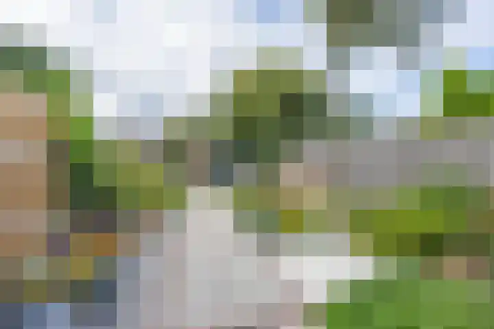 Heerlenersteenweg 60 Kerkrade thumbnail 17
