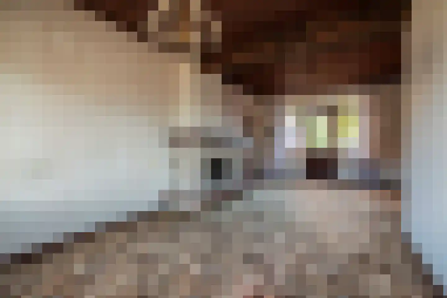Heerlenerweg 18 Sittard thumbnail 8