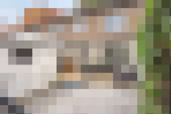 Heerlenerweg 21 Sittard thumbnail 18