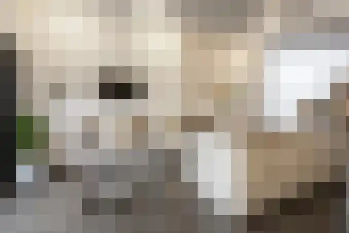 Heerlenerweg 22 Sittard thumbnail 11