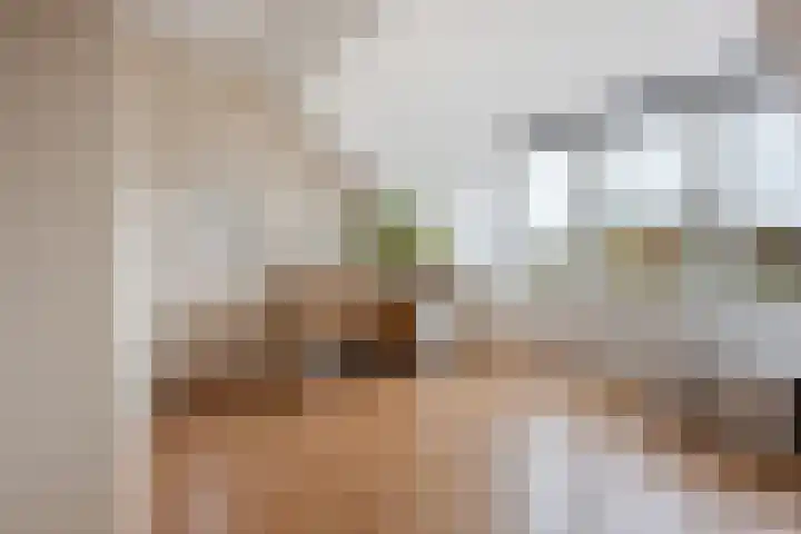 Heerlenerweg 22 Sittard thumbnail 18